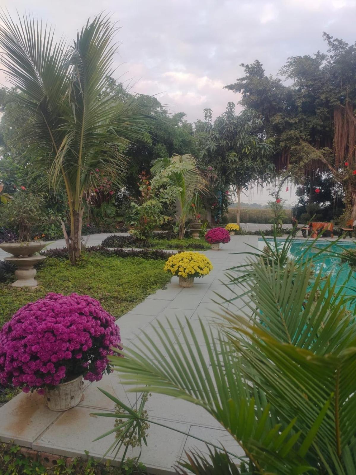Tuyet'S Homestay Ninh Binh Room photo